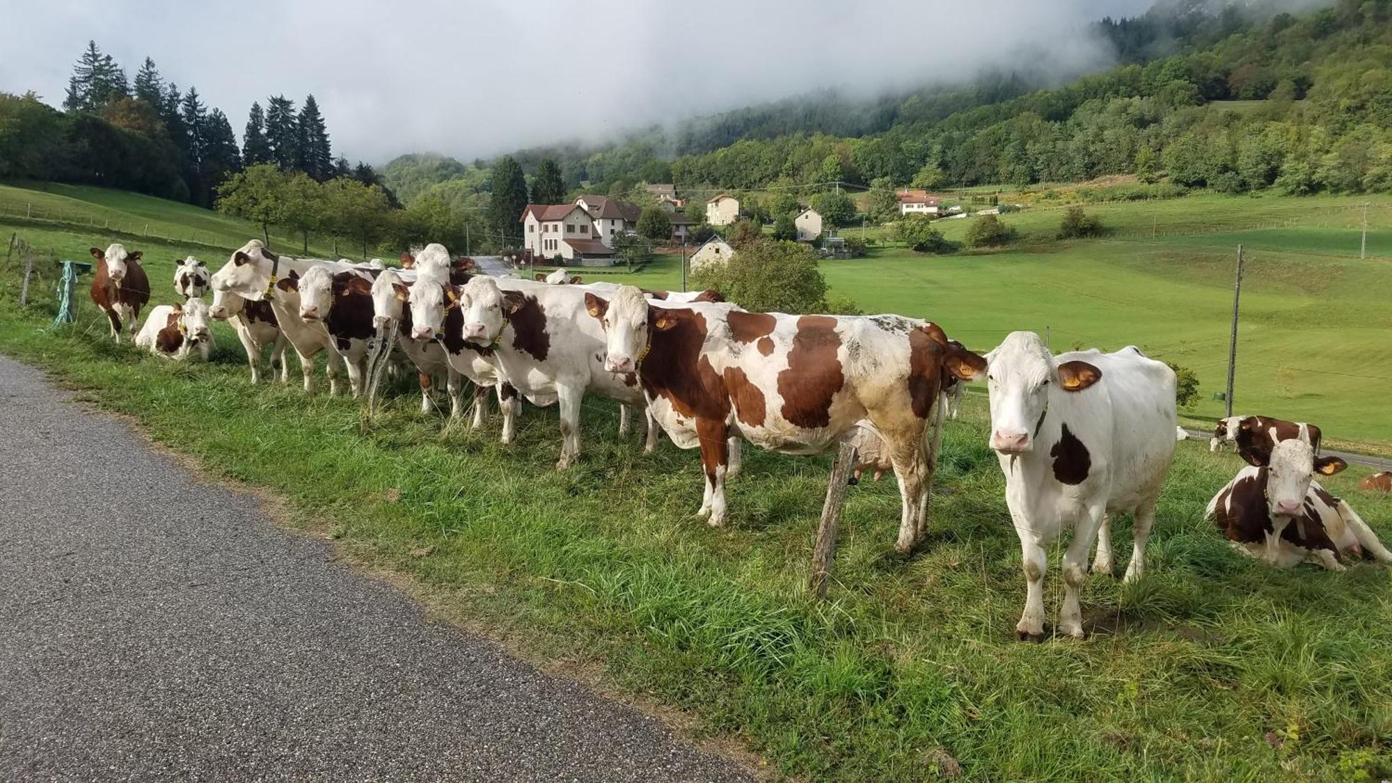 Un Pied Devant L'Autre Sainte-Marie-D'Alvey Exterior foto